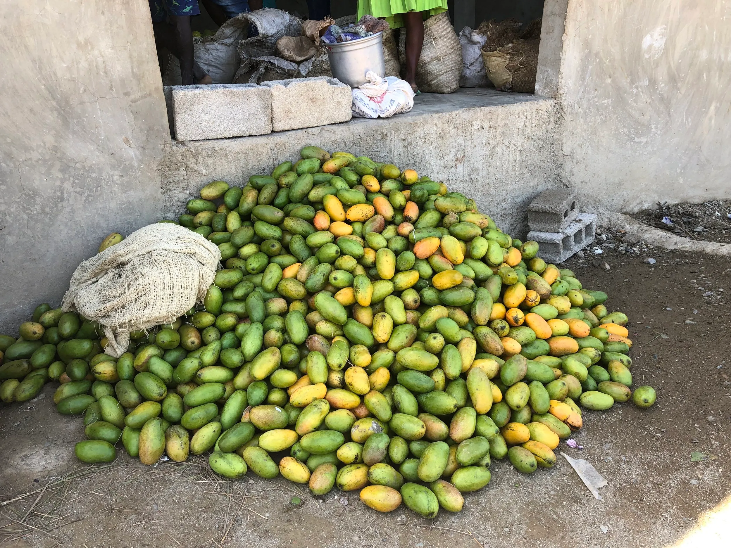 A mango harvest bound for the Tilori market