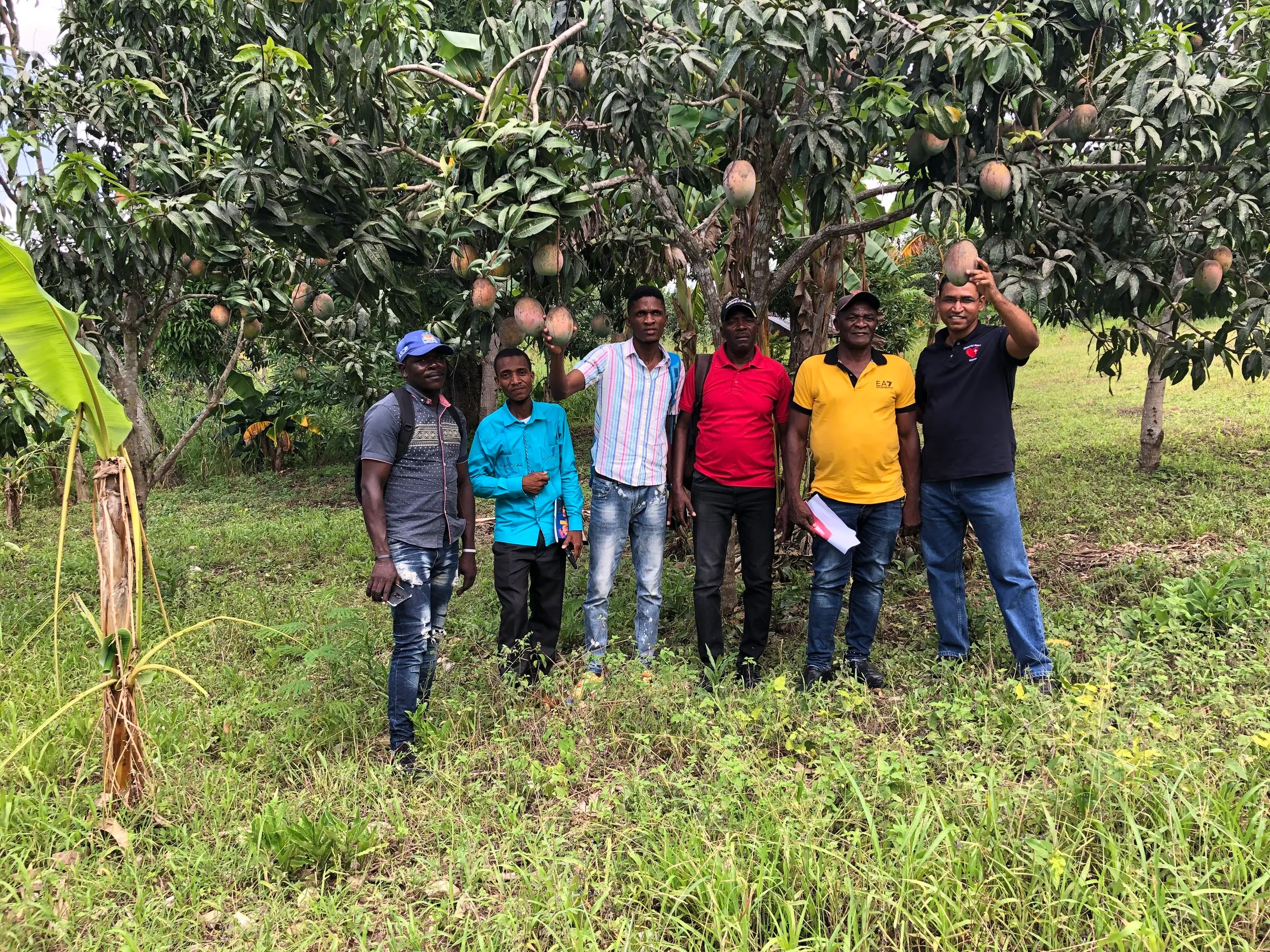 The team at a mango tree planted through Operation Mango Tree, Tilori
